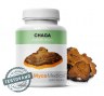 chaga-vitalni-2.761696527