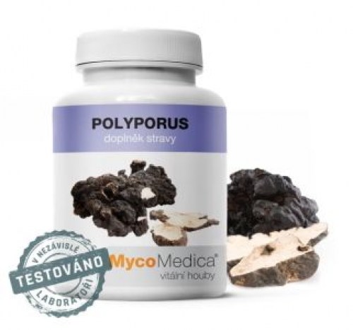 polyporus-vitalni-2.761696527